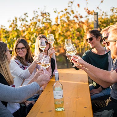 Wein trinken
